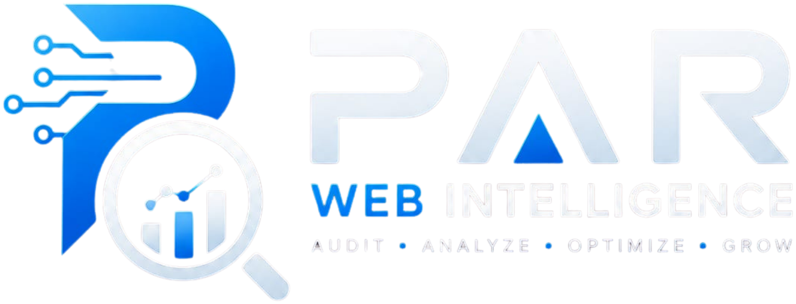PAR Web Intelligence — website audit tool